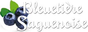 Bleuetière Saguenoise